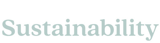 Where Beauty Meets Sustainability